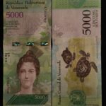 VENEZUELA 5000 PANGOLIN