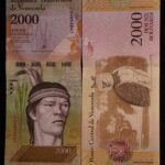 VENEZUELA 2000 OWL