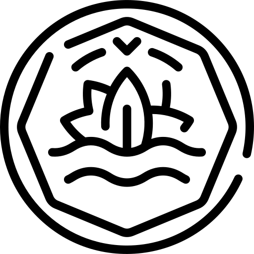 Icon-coin