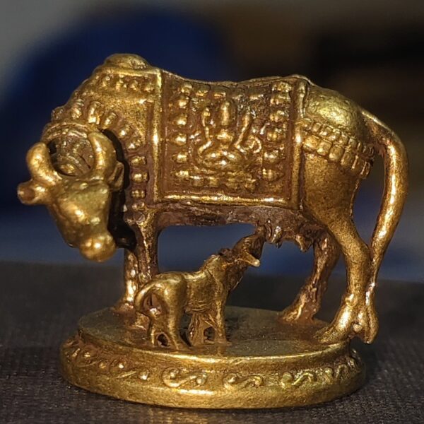 KAMADHENU COW