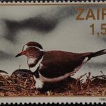 ZAIRE ZR4
