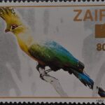 ZAIRE ZR9