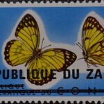 ZAIRE ZR8