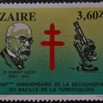 ZAIRE ZR46