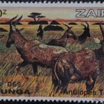 ZAIRE ZR48